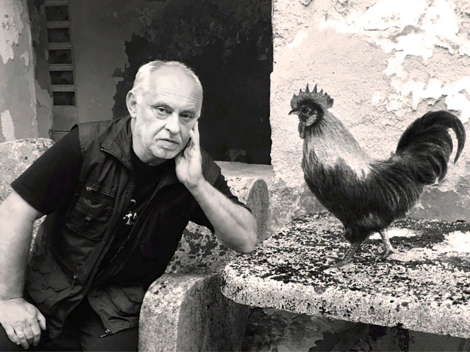 Feri Lainšček sedi zraven petelina